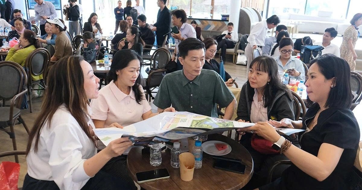 Khách hàng tham khảo bản đồ quy hoạch tại sự kiện giới thiệu Vịnh Tiên